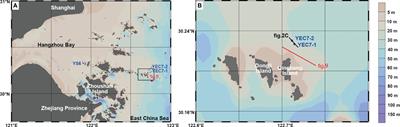 Response of early diagenesis to methane leakage in the inner shelf of the East China Sea